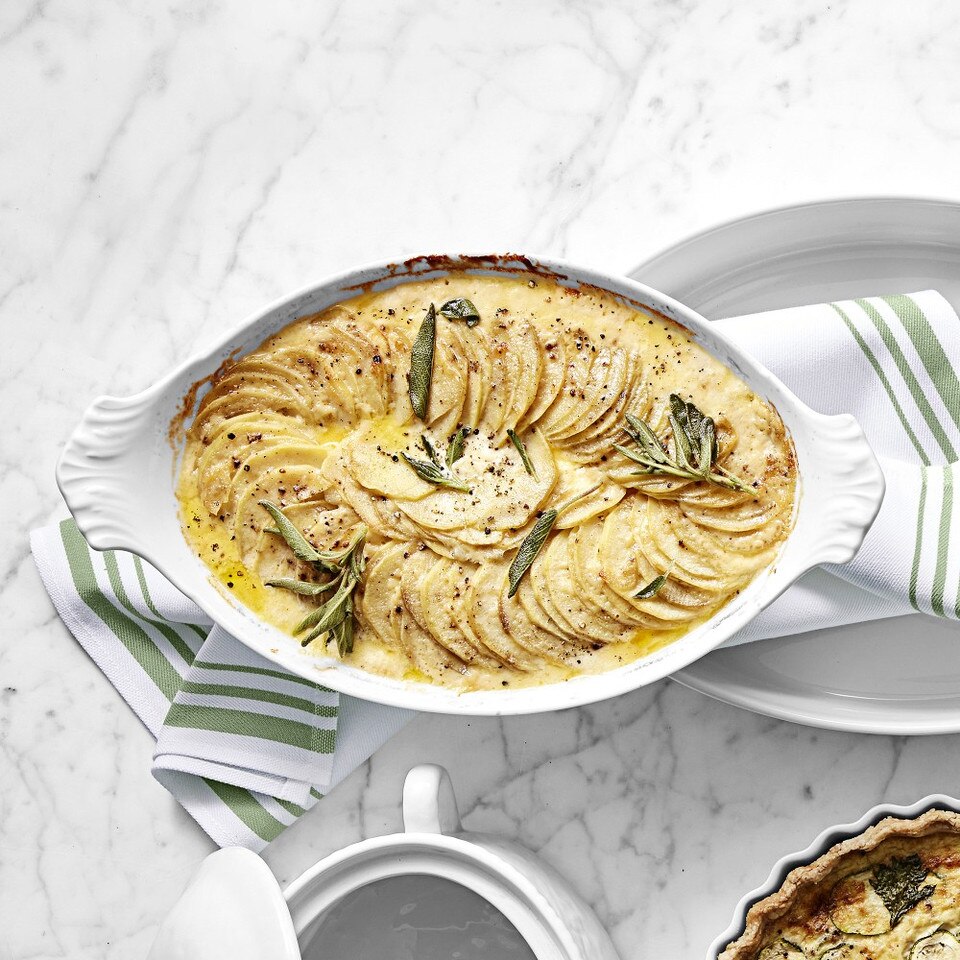 Apilco Porcelain Oval Au Gratin Baker Williams Sonoma Australia